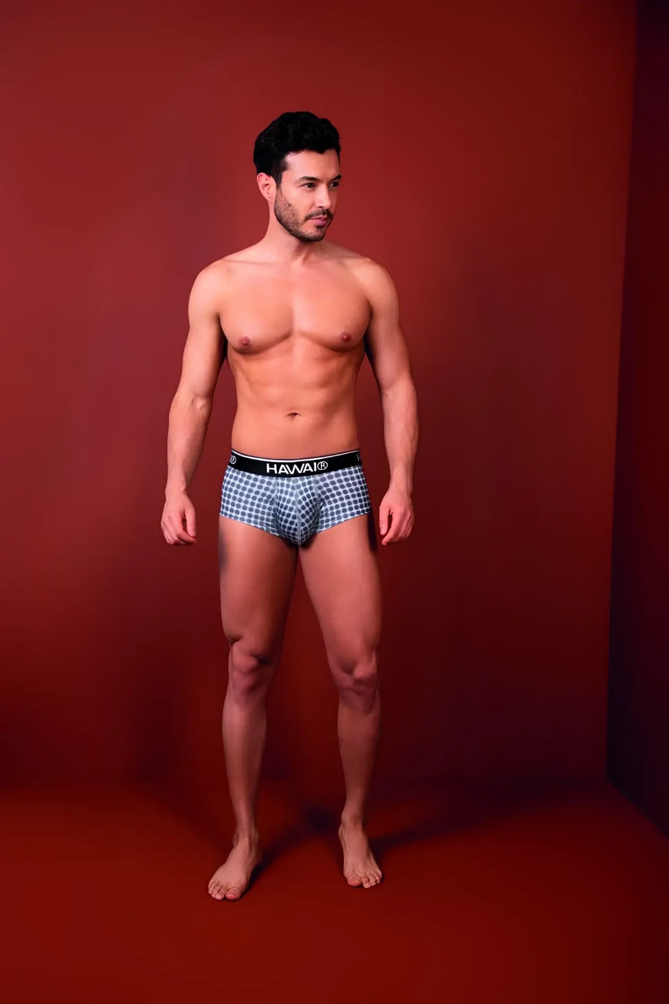Blue and white checkered hawaii 42430 printed briefs with black waistband in gray color for comfortable wear