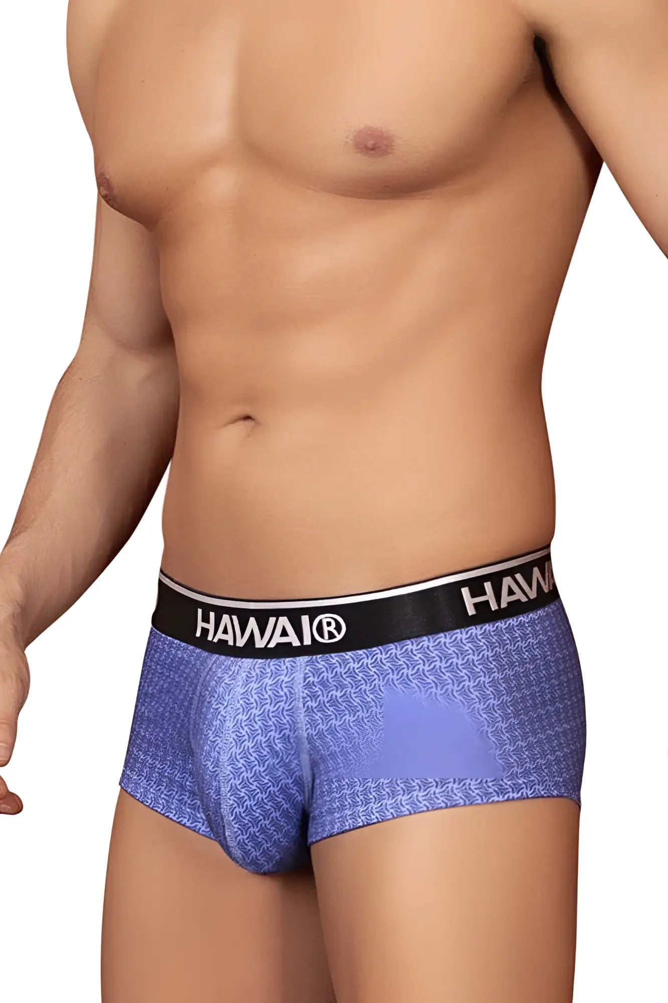 Blue printed hawaiian men’s briefs with black waistband featuring hawaii logo in model HAWAI 42431