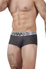 Black men’s microfiber boxer briefs in gray with a silver hawai waistband and red and blue star patterns