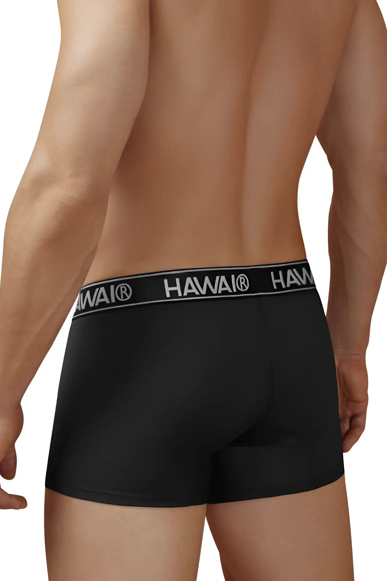 Black hawai microfiber briefs in black with a white logo band around the waist for comfortable everyday wear