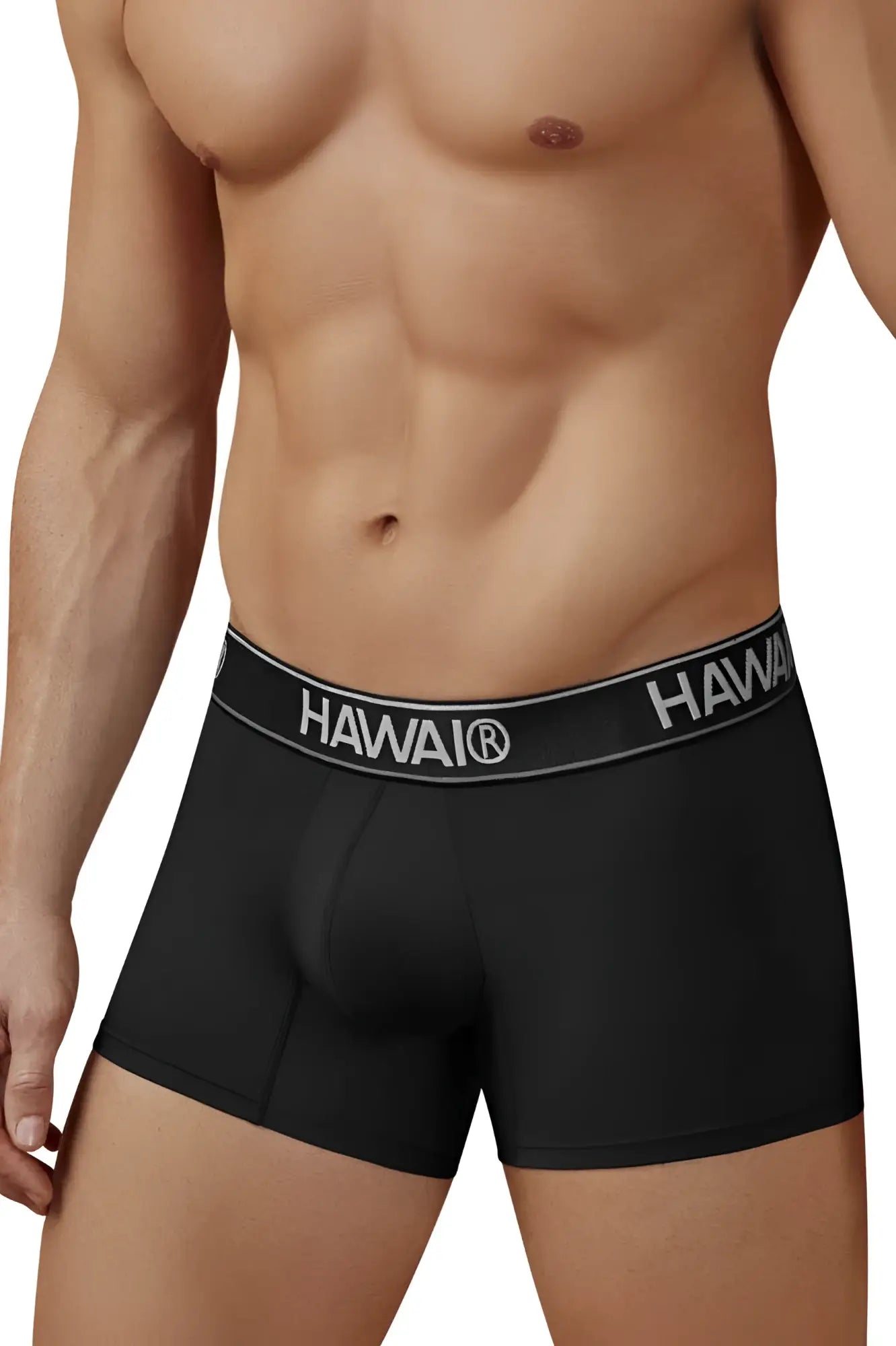 Black hawai men’s microfiber boxer briefs in black with gray waistband featuring white brand lettering