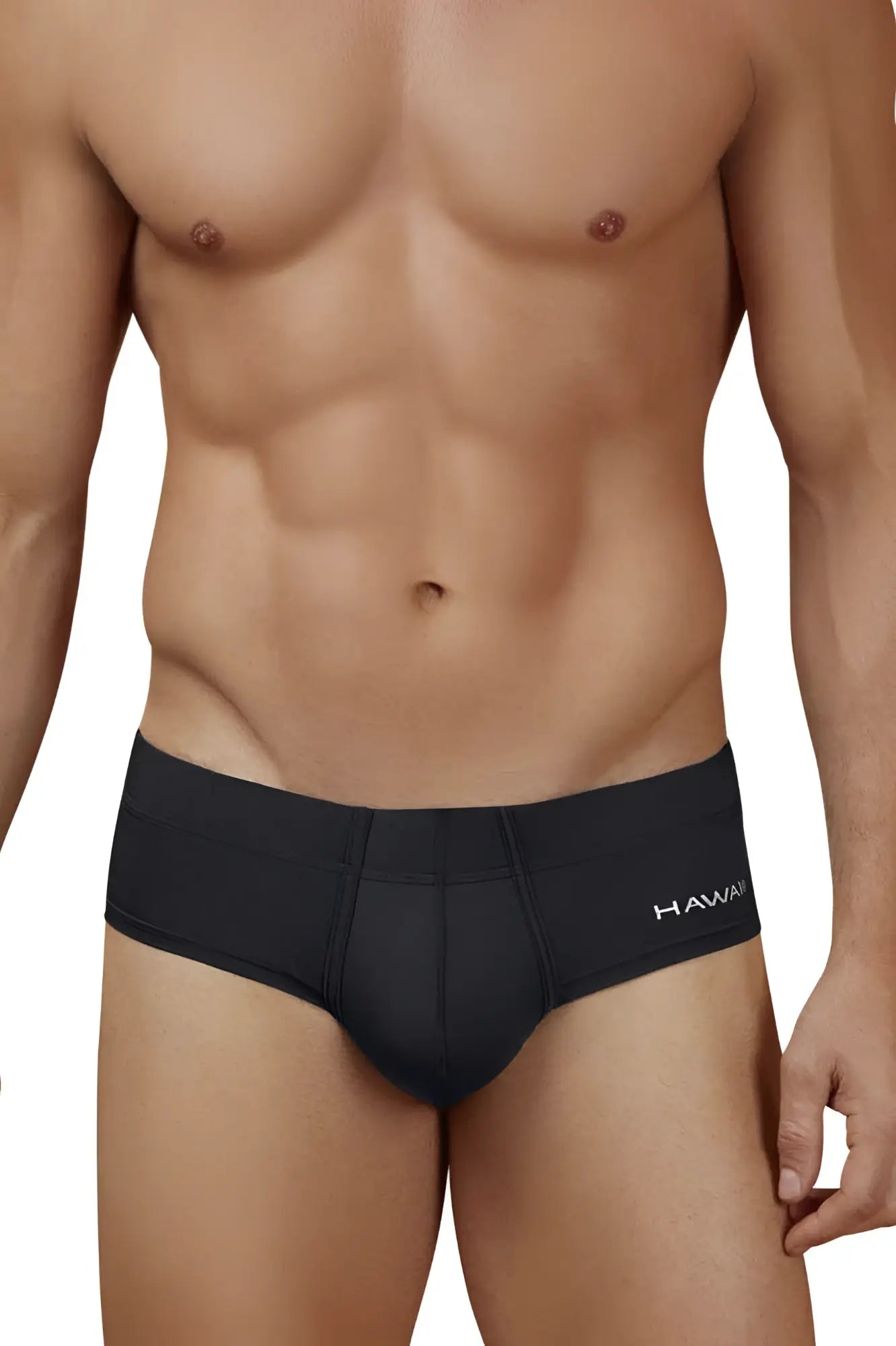 Black hawaii brand microfiber briefs in black with a smooth form-fitting design for comfortable everyday wear