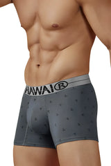 Gray hawaiian boxer briefs with anchor pattern and white waistband with brand logo made from cotton blend