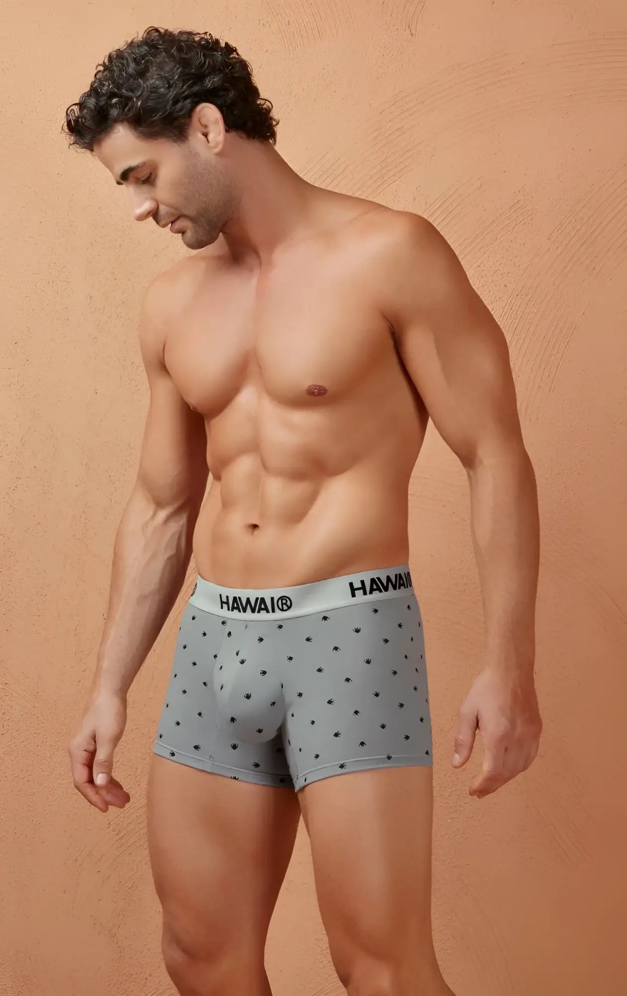 Gray polka-dot cotton blend briefs with a white hawaii branded waistband from the hawai 42571 trunks collection