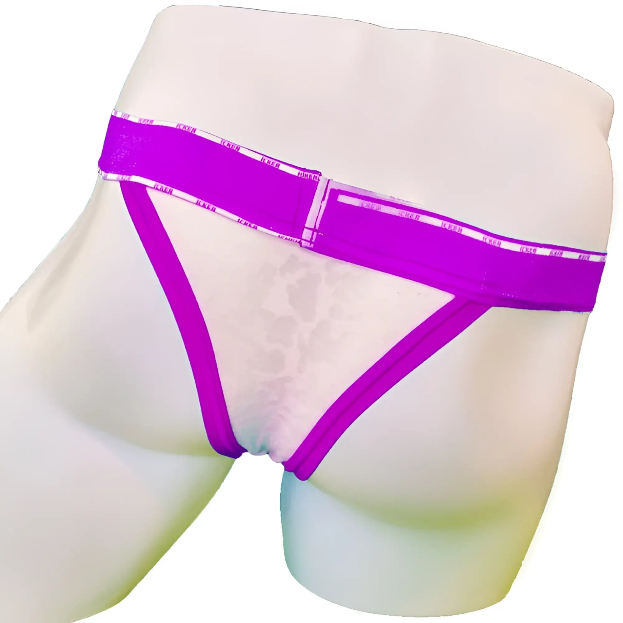 Purple icker sea acid mesh piping cheeky tanga bikini briefs with lace trim sheer patterned front panel and elastic waistband