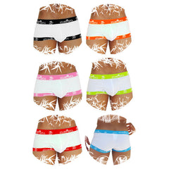 Icker Sea [6 pack] Fresh Dots Logo Trim Boxer Brief Underwear Assorted Colours COI-14-FD-02-PACK