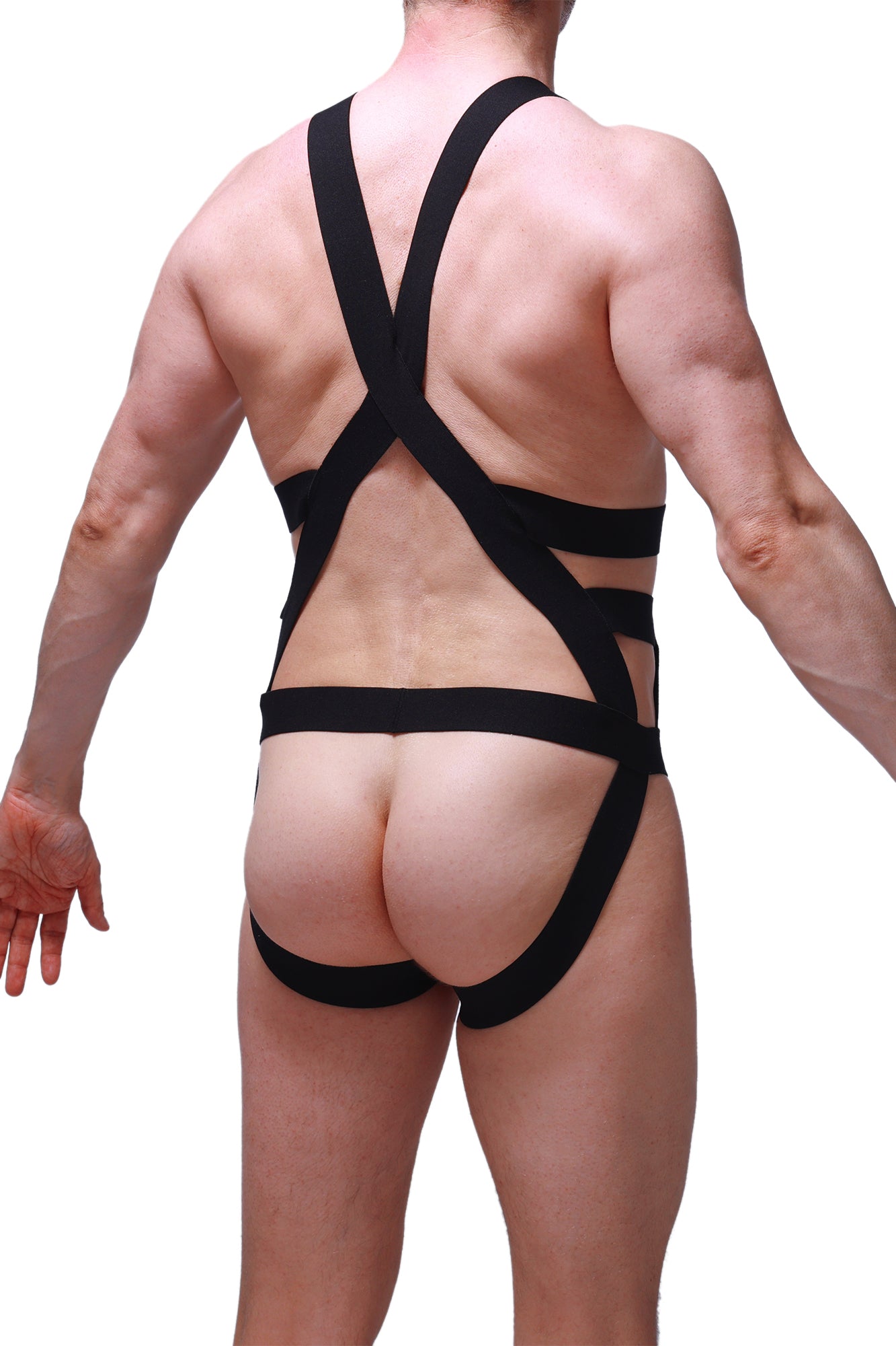 PetitQ Jock Harness Champol