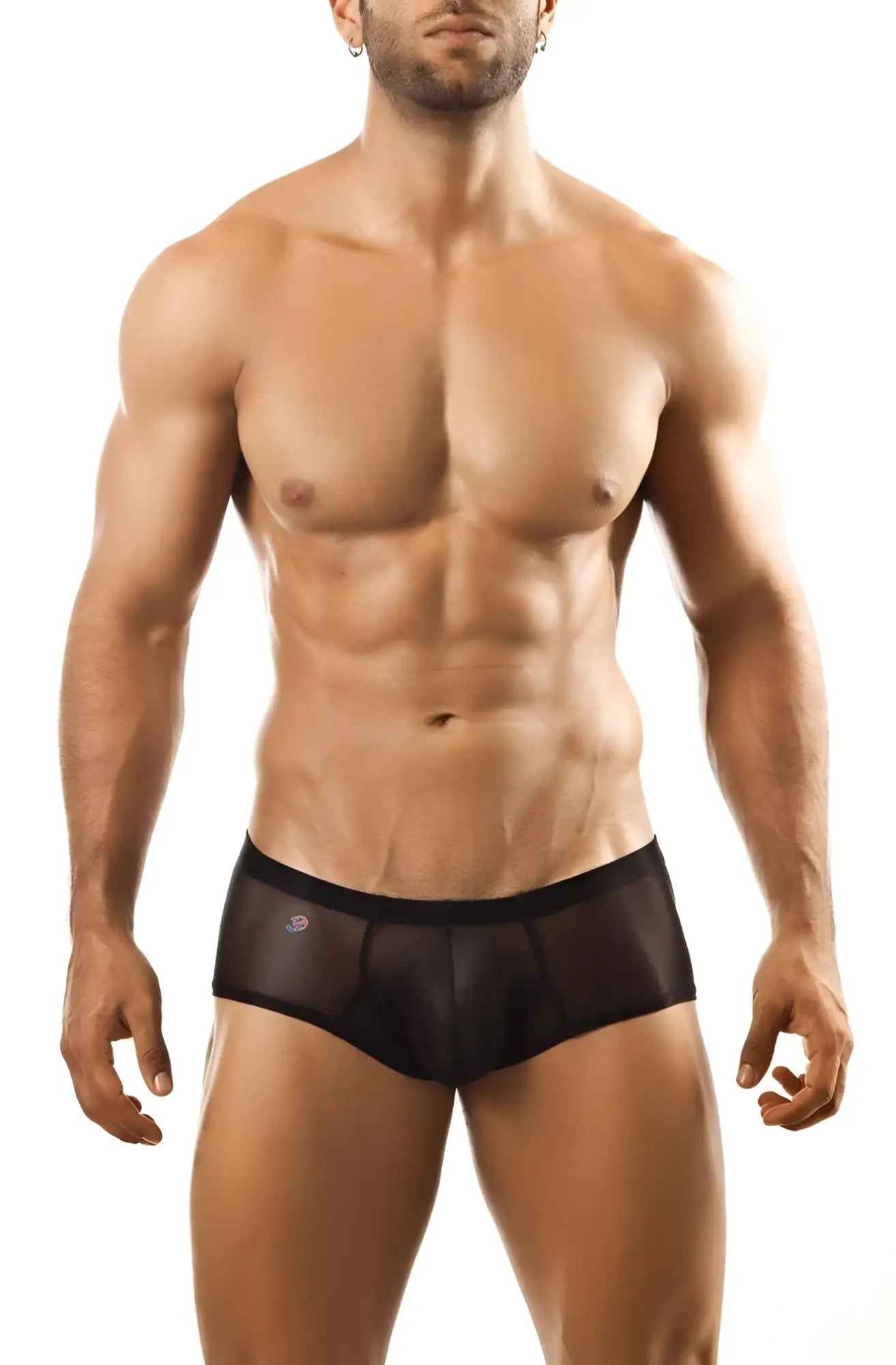 Black sheer mesh briefs with solid black waistband and subtle logo on left hip joe snyder bulge boxer product