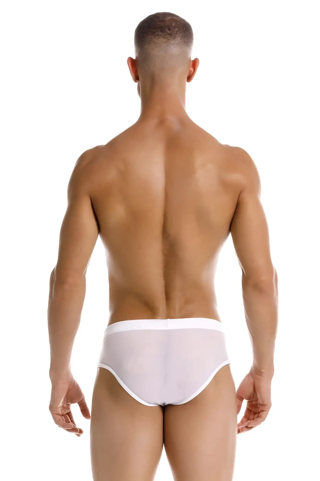 White sheer jor 2193 mystic swim briefs with a solid white waistband designed for swimwear use