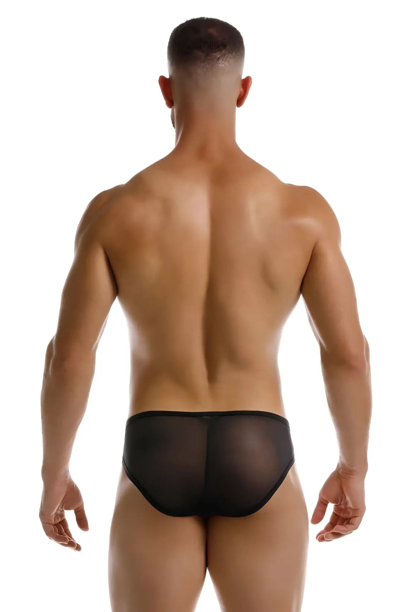Black sheer mesh briefs jor 2241 origin briefs showing delicate breathable fabric and sleek design