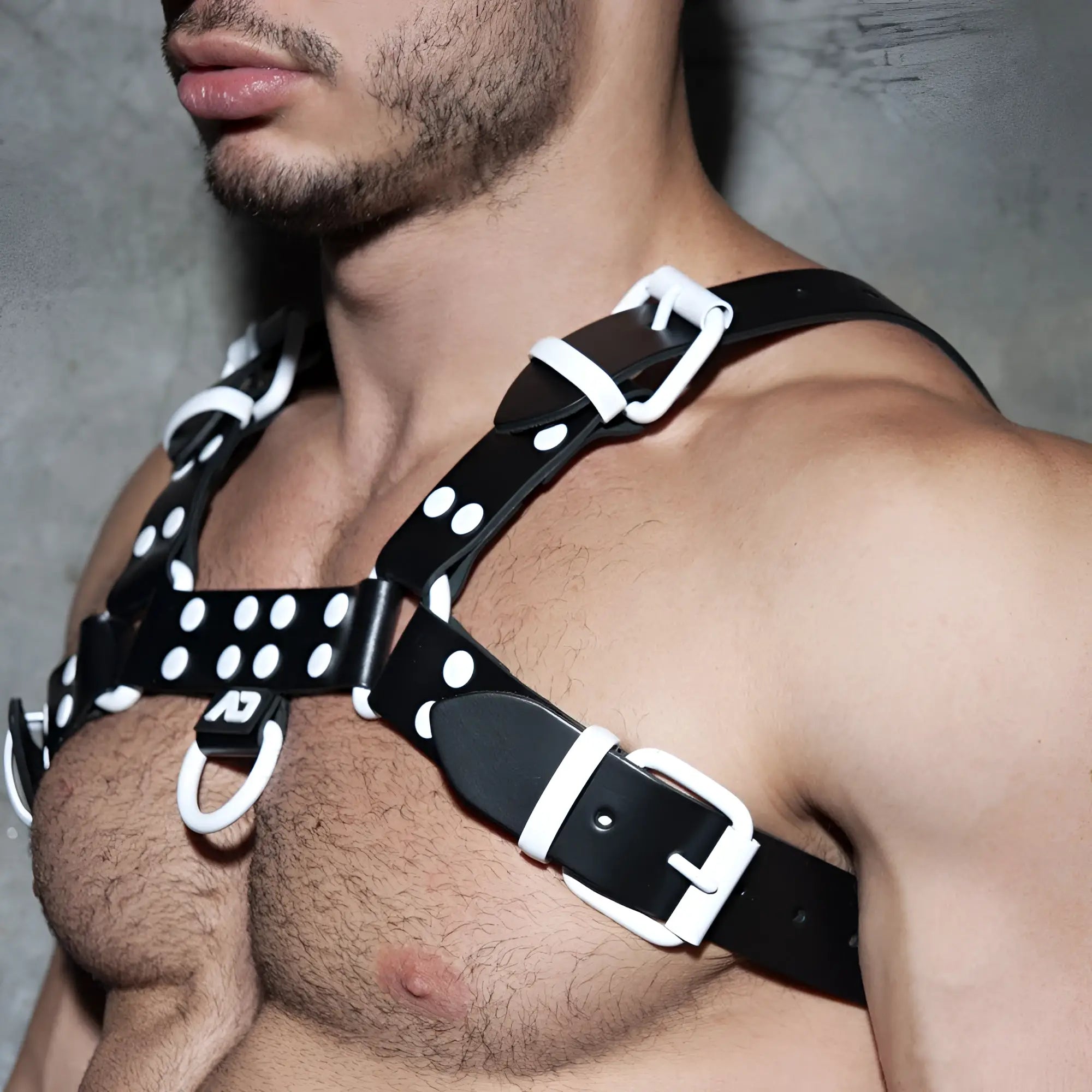 Black leather color harness with white polka dots and matching white buckles shown from the back side