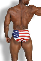 Lovesick briefs usa american flag patterned red white and blue cotton underwear with patriotic design