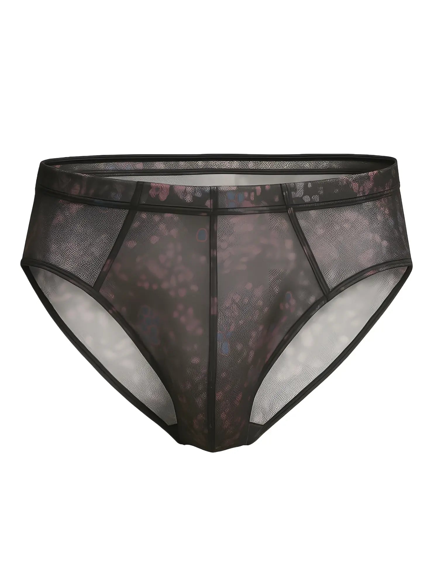 Luxury lace brief in black sheer mesh with subtle floral pattern and reinforced seams for comfortable wear