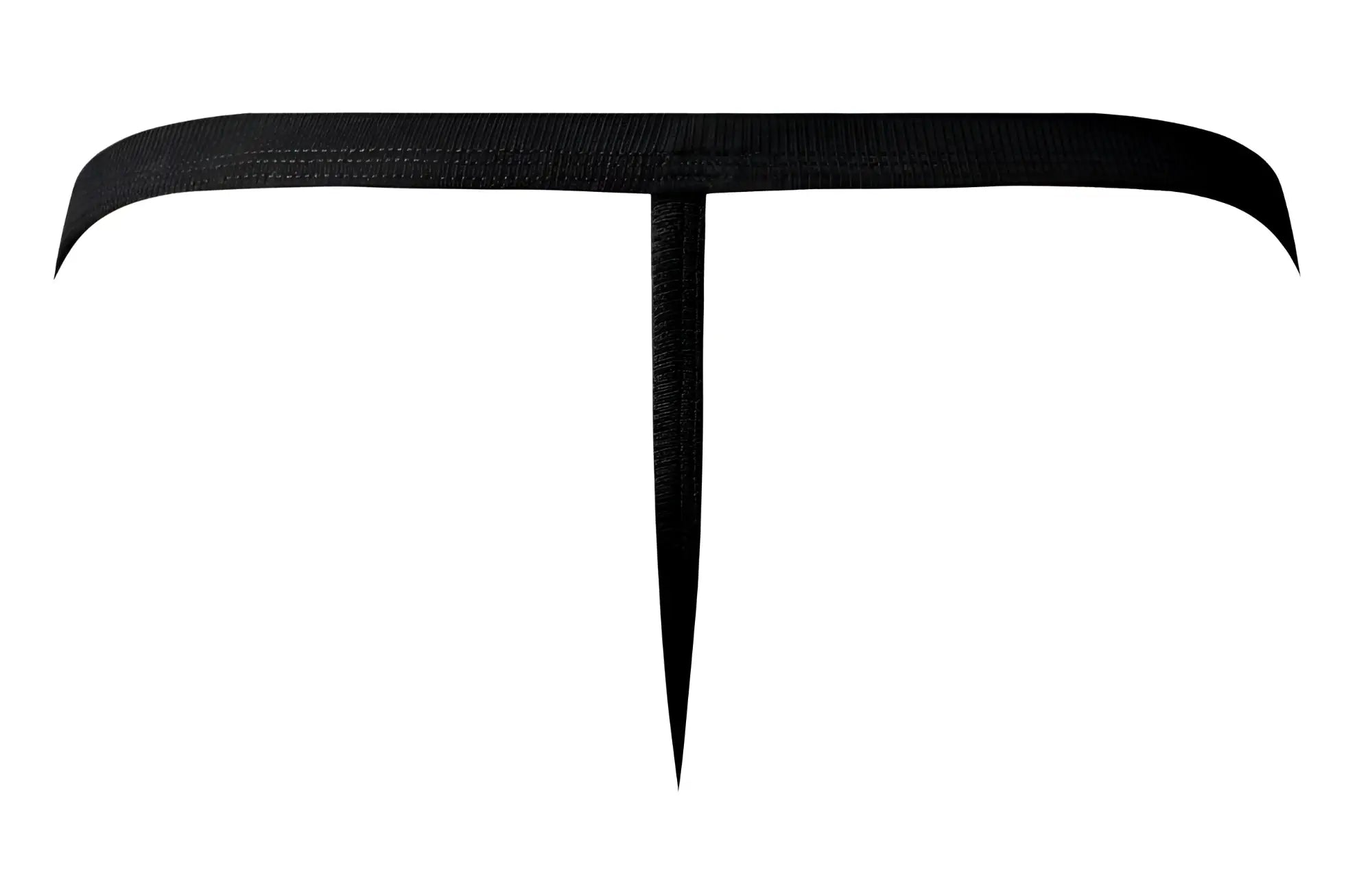 Black male power 449-11c fishnet t-shaped belt with textured reptile skin finish g-string front view