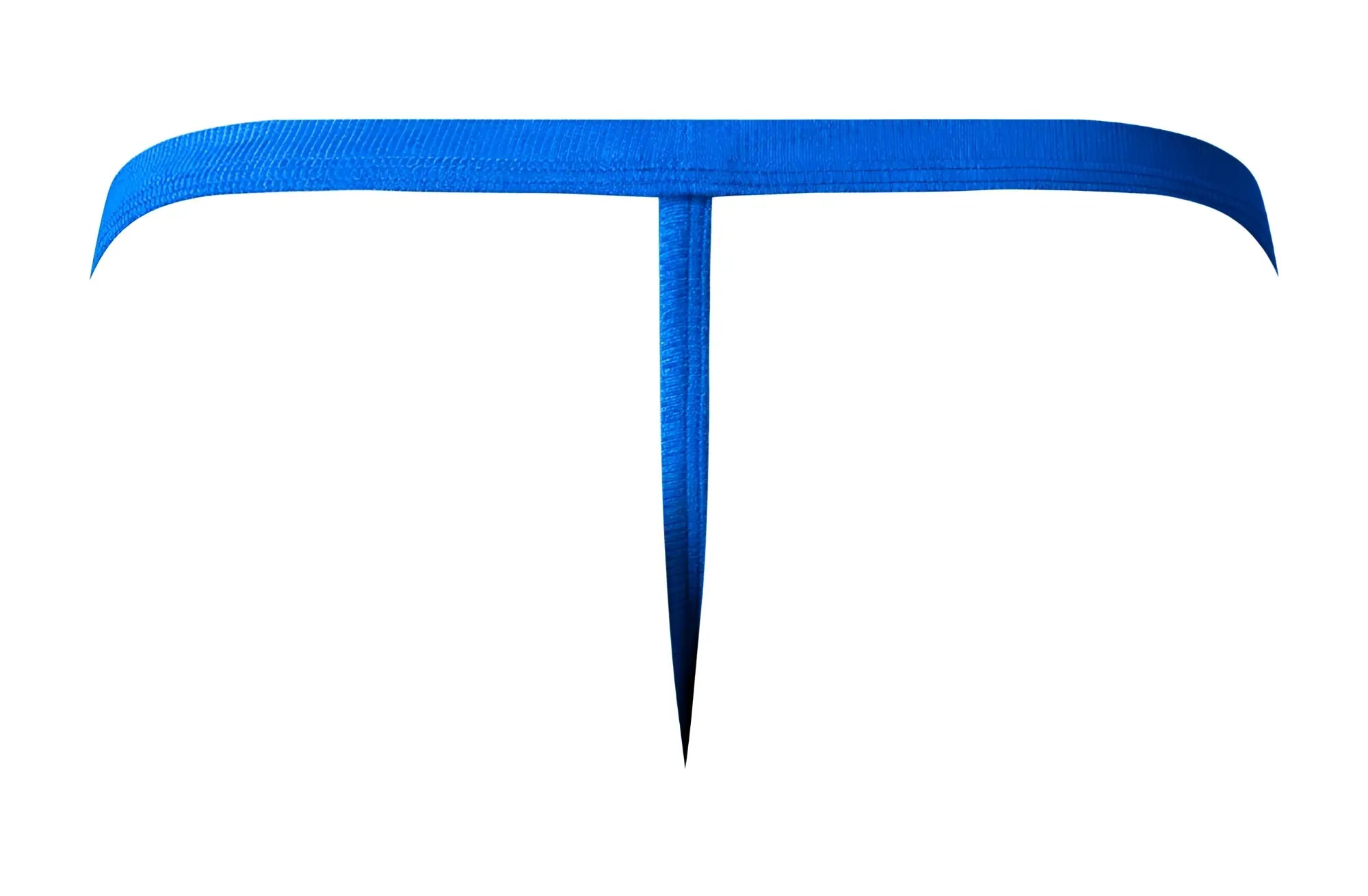 Male power 449-11c fishnet 2 g-string in royal bright blue textured fabric thong with sleek t-shaped design back view