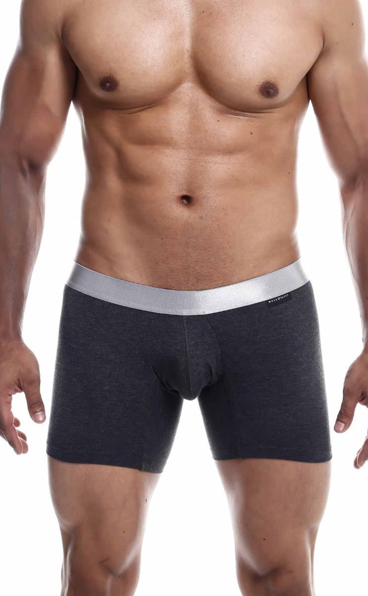 Dark gray male basics boxer briefs with silver waistband made from soft breathable pima cotton for everyday wear