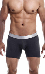 Dark gray male basics boxer briefs with silver waistband made from soft breathable pima cotton for everyday wear