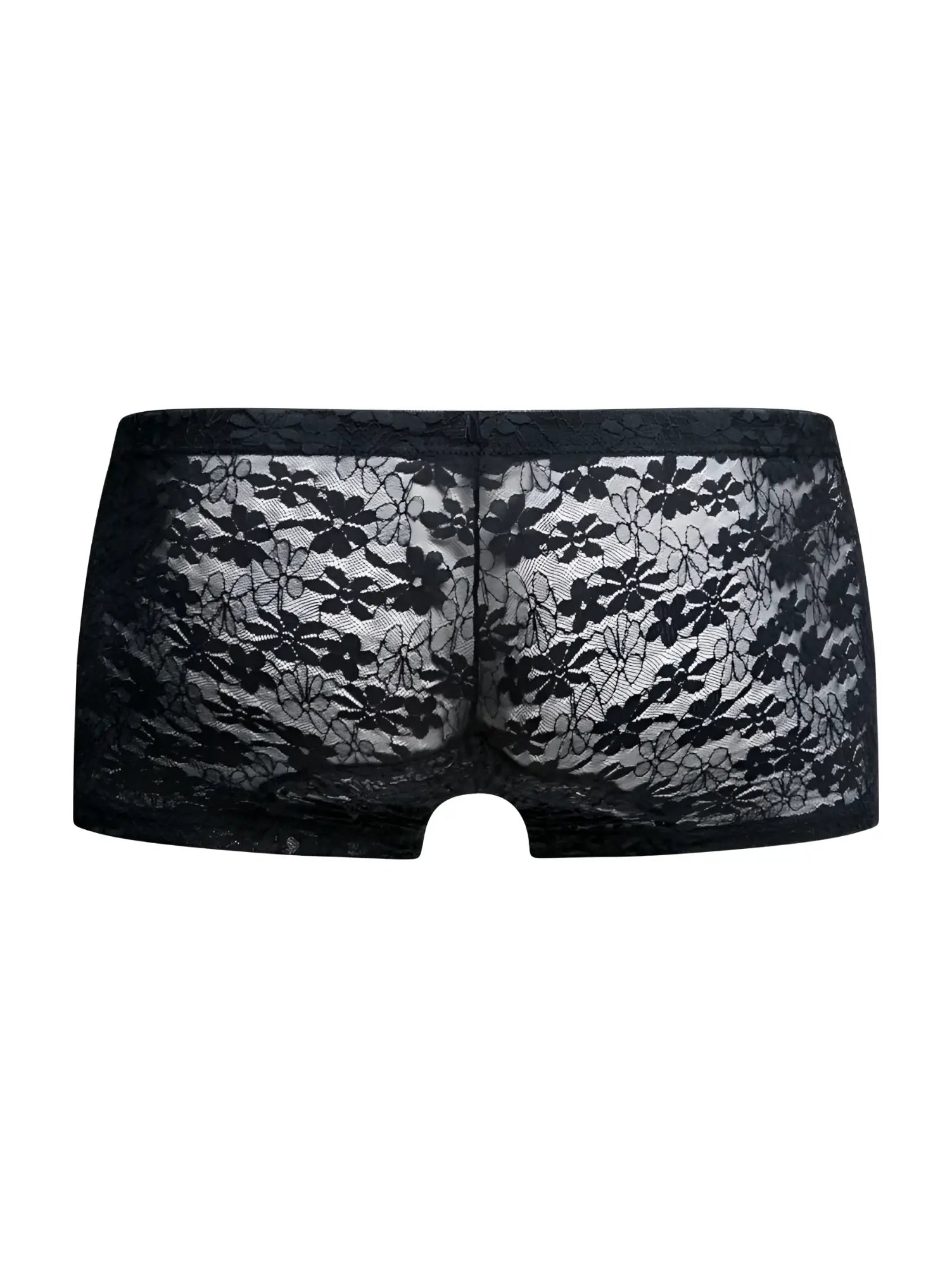 Malebasics mbl78 lace trunks black lace in a sheer delicate floral lace design showing front view