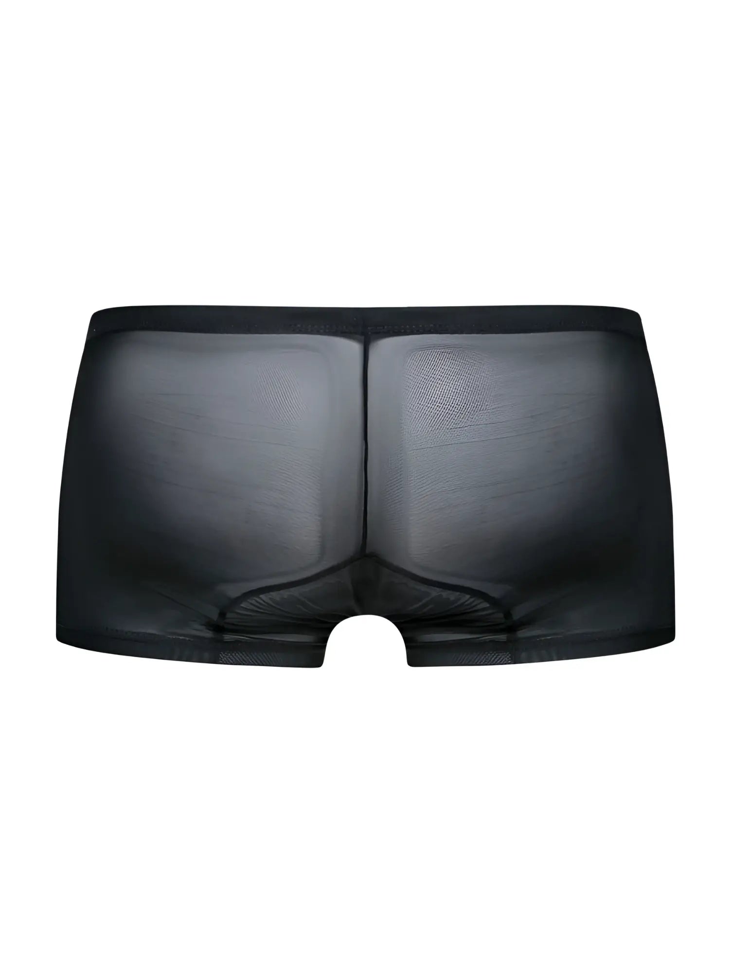 Malebasics mbl78 lace trunks black mesh sheer briefs with smooth form fitting design for men