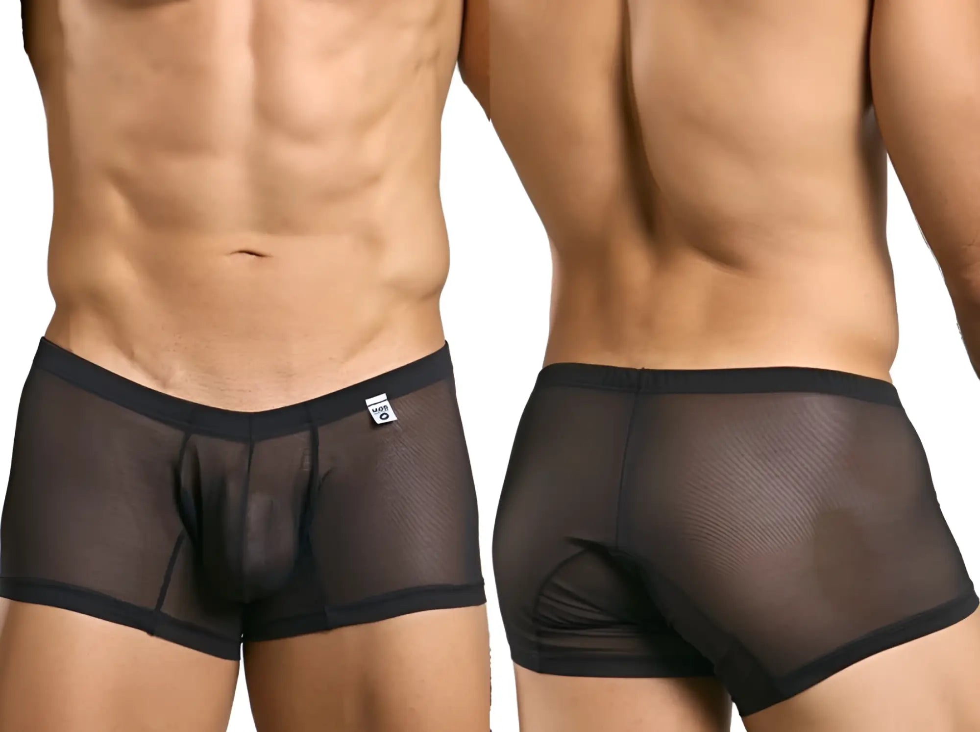MaleBasics MBL78 lace trunks black mesh briefs with solid waistband and trim designed for men