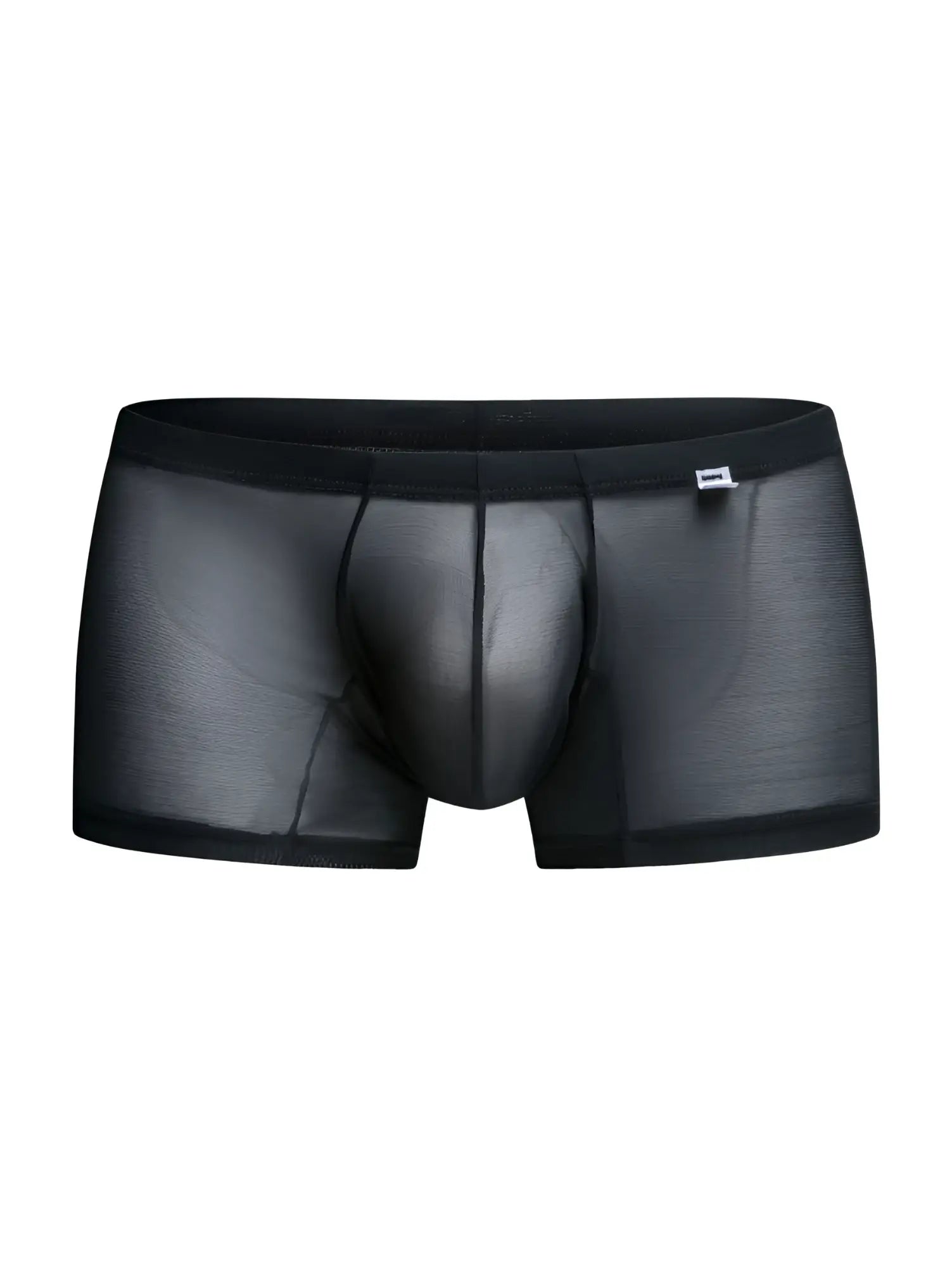 Malebasics mbl78 lace trunks black mesh briefs with sheer fabric solid waistband and reinforced seams visible from front