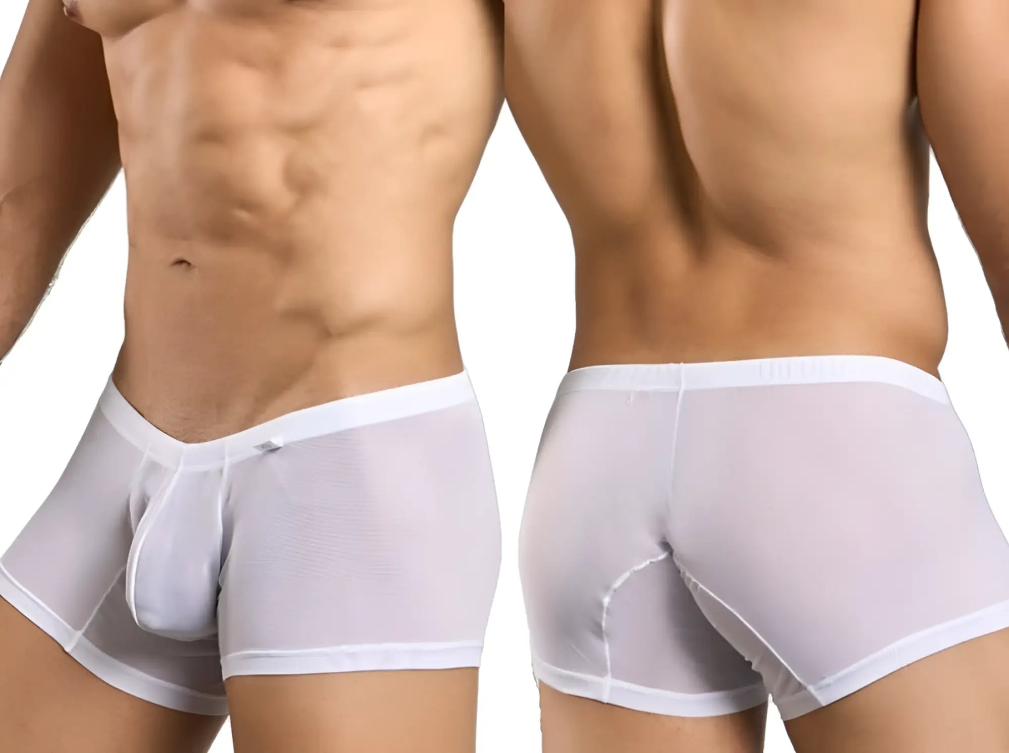 Malebasics mbl78 lace trunks in white sheer mesh with solid white waistband and trim men’s briefs front view