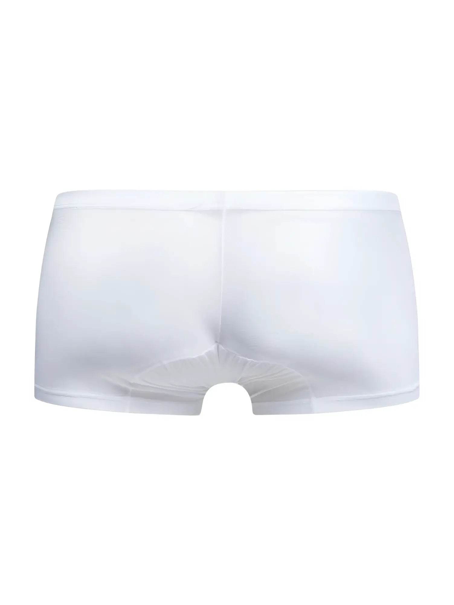 Malebasics mbl78 lace trunks white mesh briefs with sheer fabric and smooth elastic waistband front view