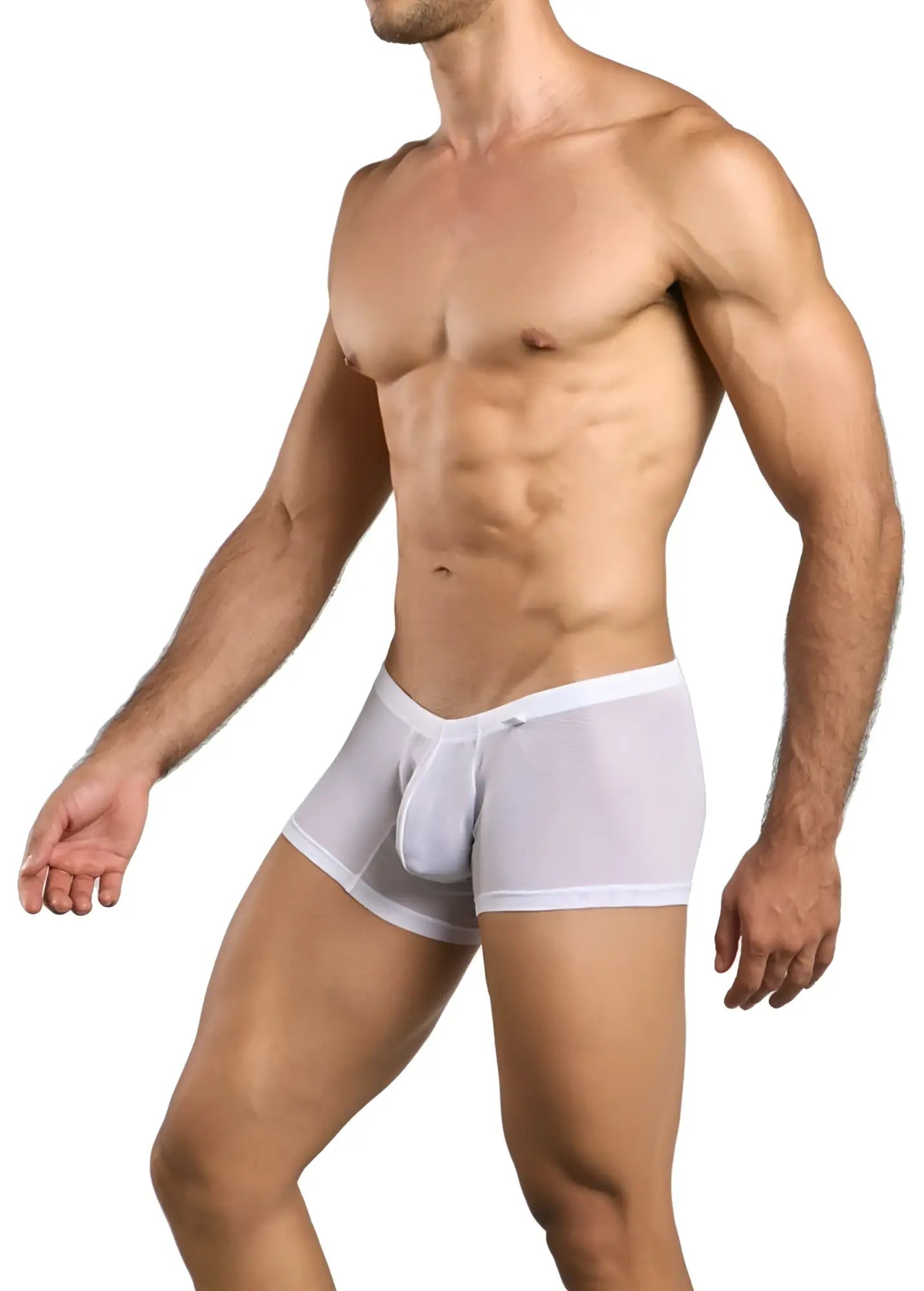 Malebasics mbl78 lace trunks white mesh briefs with sheer fabric and solid white waistband for men