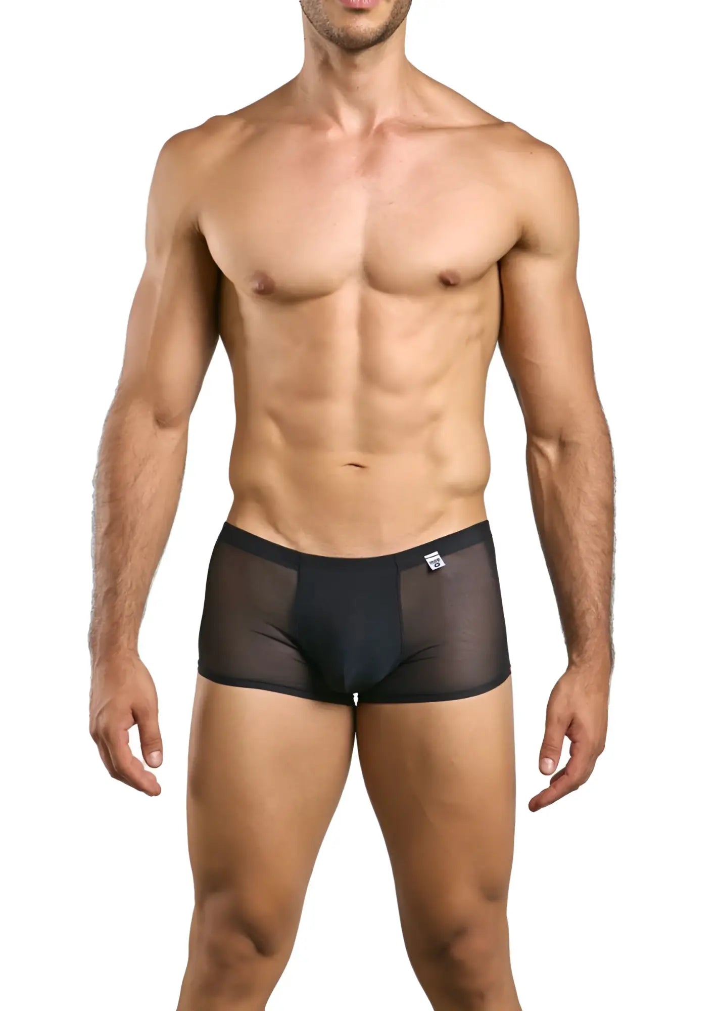 Malebasics mbl84 classic pouch trunks black sheer mesh briefs with solid waistband and small white logo on front