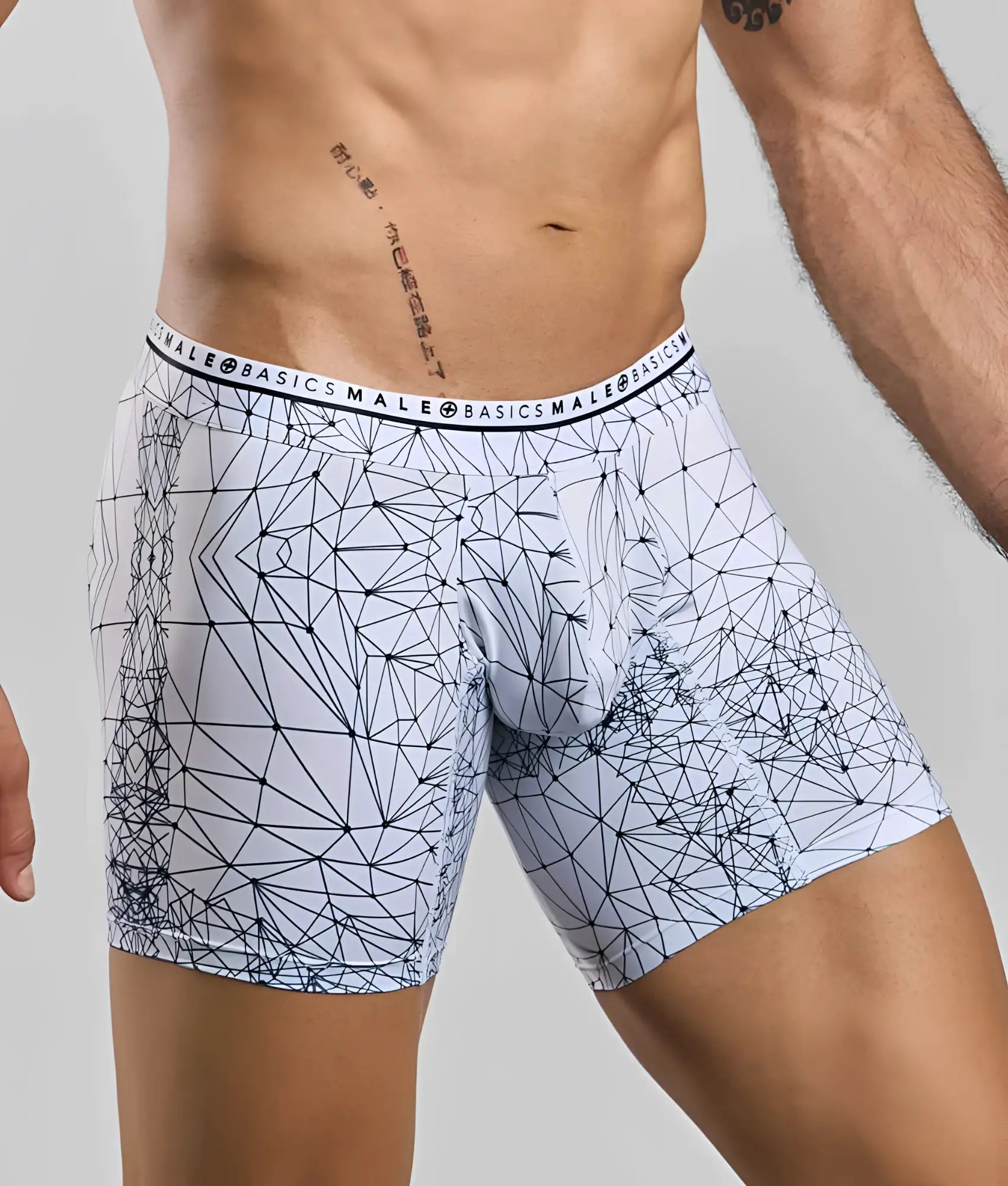 Malebasics new hipster boxer brief spider in white with dark blue geometric lines and basics male waistband branding