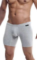 Gray heathered men’s boxer briefs with contoured pouch and black brand tag from malebasics silver plus 3 pack
