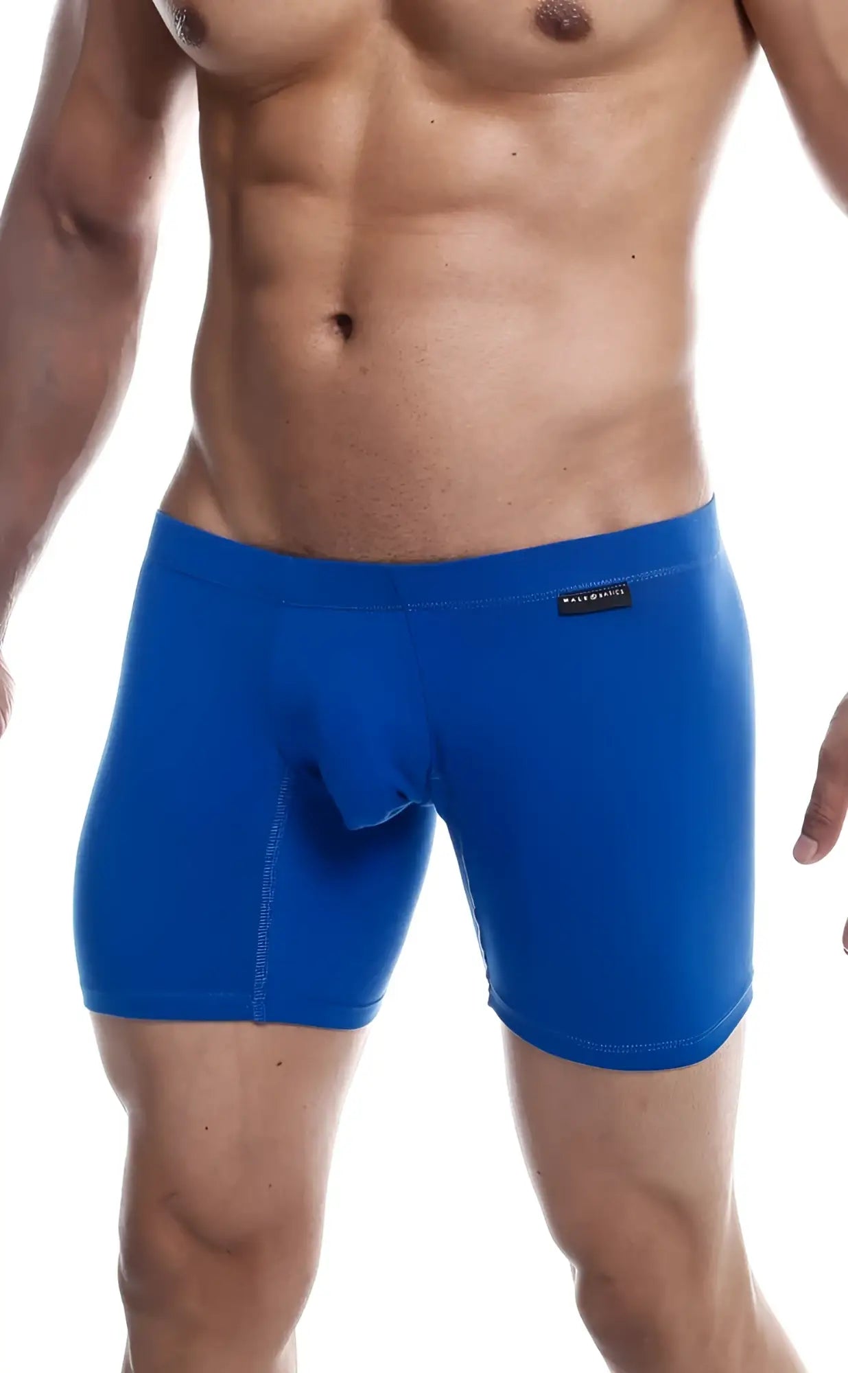 MaleBasics Silver plus bright blue form-fitting boxer briefs with smooth fabric and black brand tag on waistband