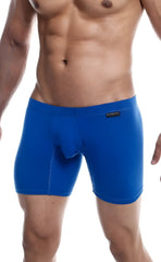 MaleBasics Silver plus bright blue form-fitting boxer briefs with smooth fabric and black brand tag on waistband