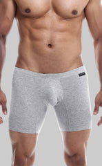 Gray heathered men’s boxer briefs with contoured pouch and elastic waistband from malebasics silver plus collection
