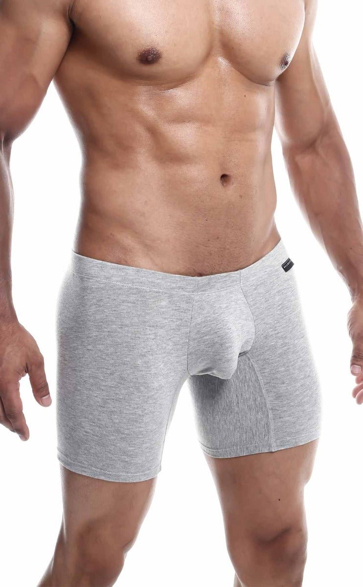 Malebasics silver plus gray heathered men’s boxer briefs with contoured pouch and elastic waistband