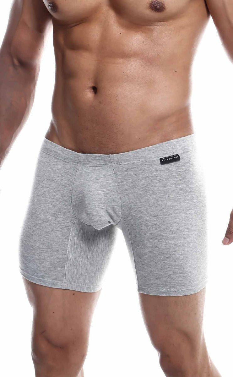 MaleBasics Silver + Boxer Brief