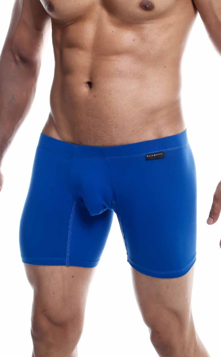 MaleBasics Silver plus bright blue form-fitting boxer briefs with smooth fabric and black brand tag on waistband