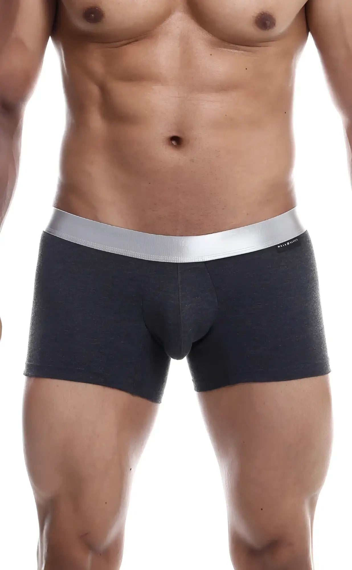 Dark gray textured malebasics trunk pima boxer briefs with sleek silver waistband made from soft pima cotton