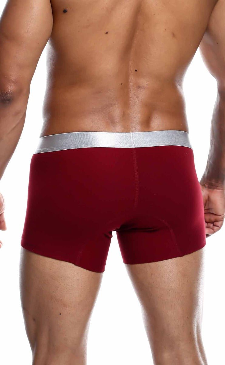 Red boxer briefs with a silver waistband made from soft pima cotton by malebasics trunk for comfortable wear