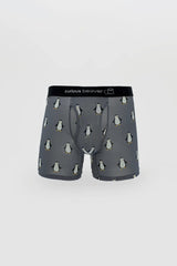 Menâ€™s gray boxer briefs with cartoon penguin pattern and black curious beaver branded elastic waistband