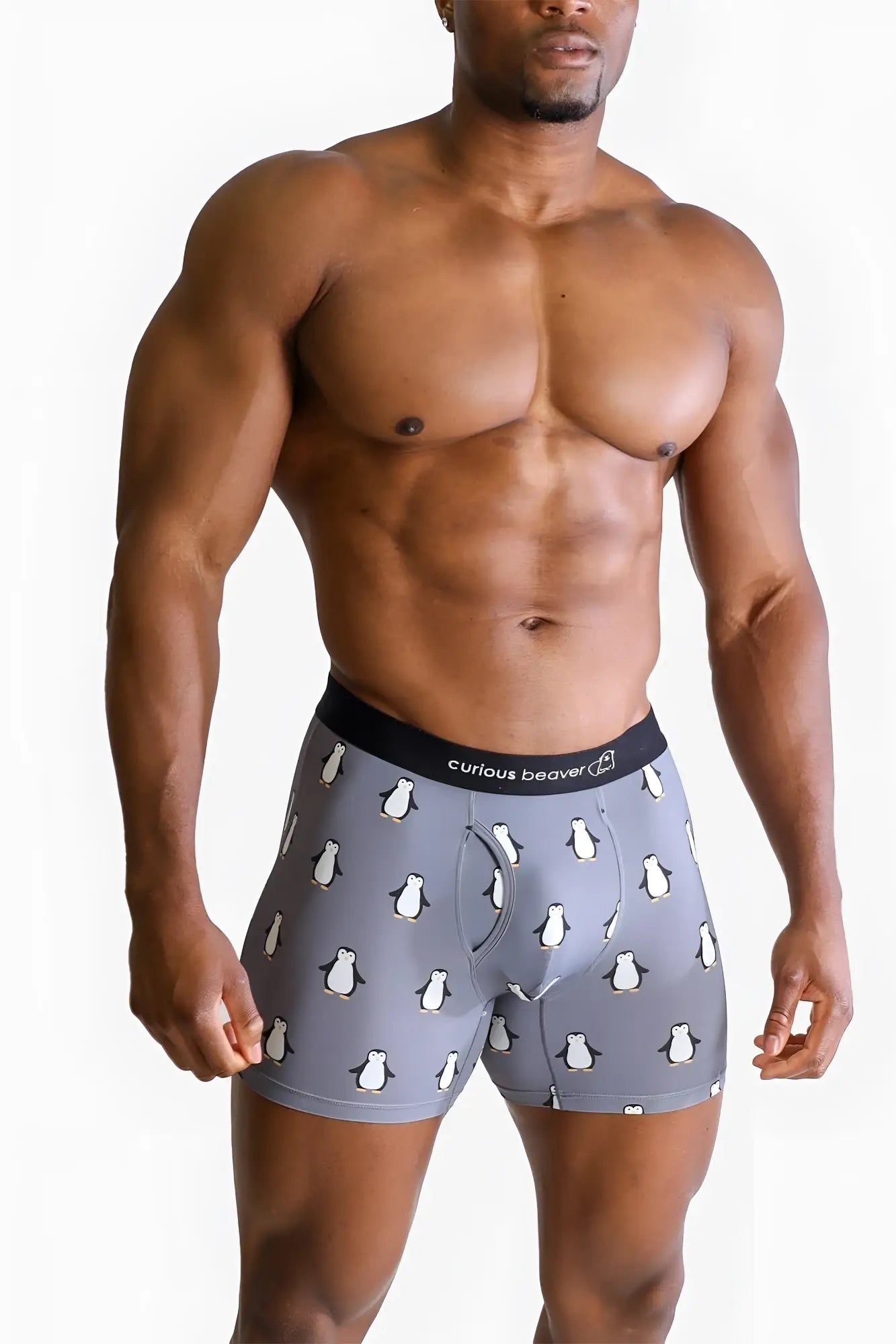 Menâ€™s gray boxer briefs with white penguin pattern and black elastic waistband featuring curious beaver brand name