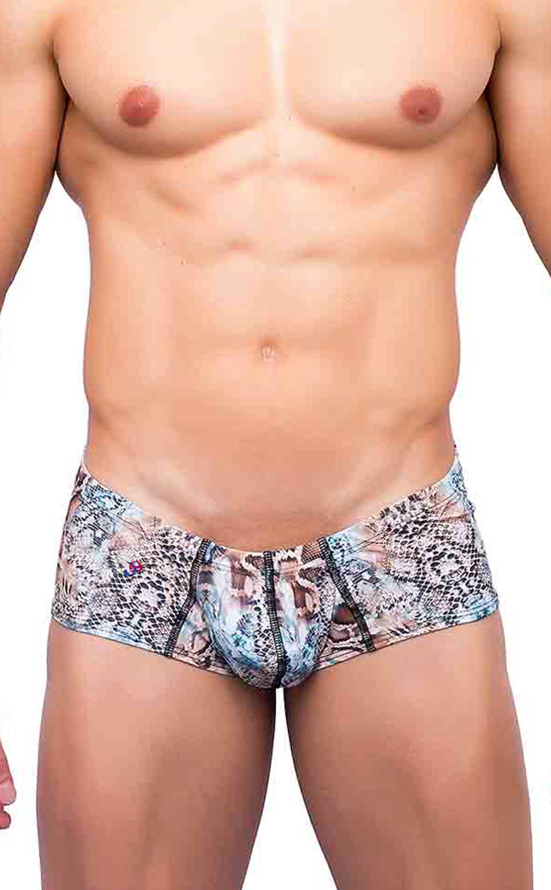 Boxer imprimé effronté Joe Snyder JS13