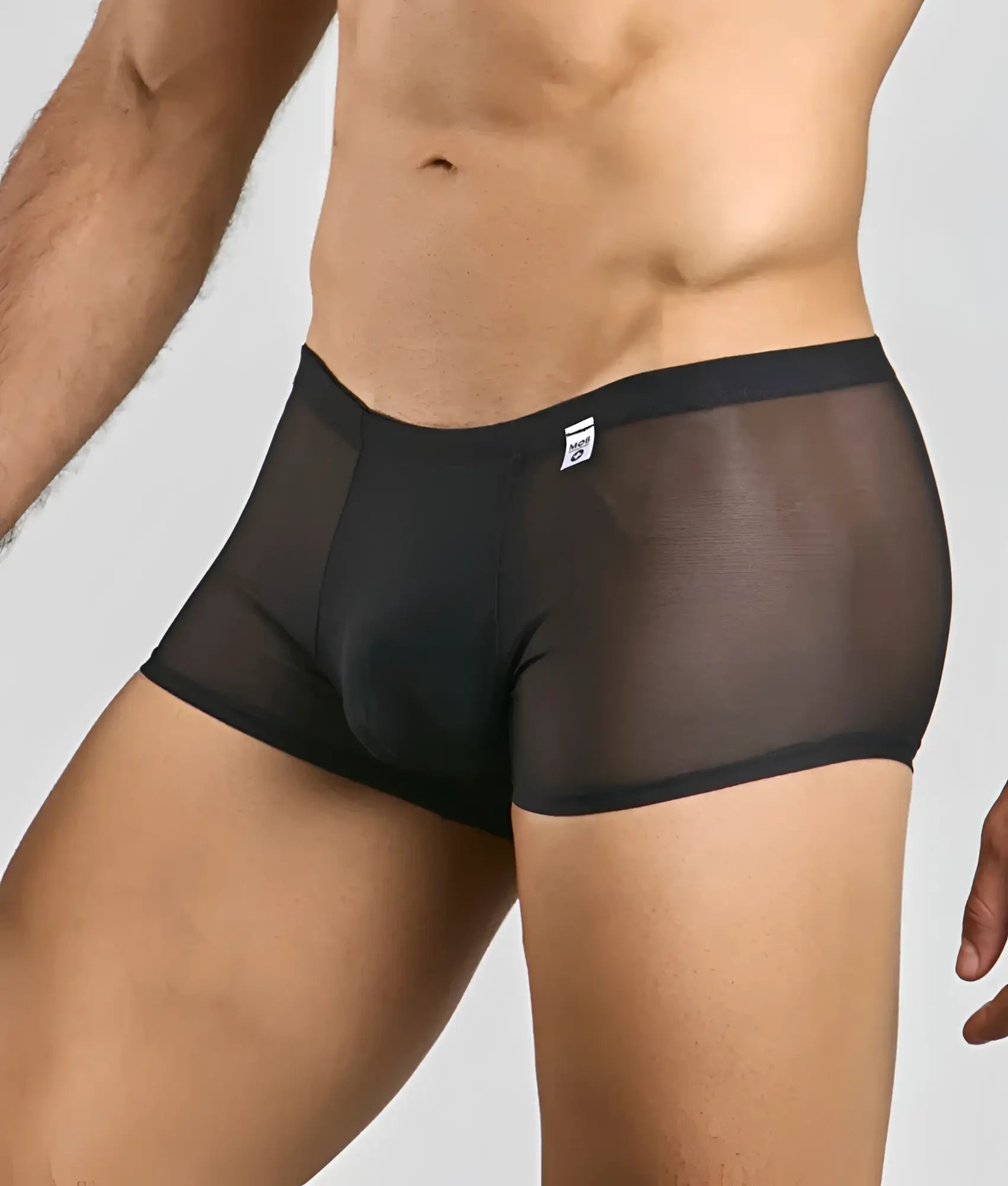 Men’s mesh lace pouch trunk in black sheer mesh with solid waistband and white brand tag visible on the front