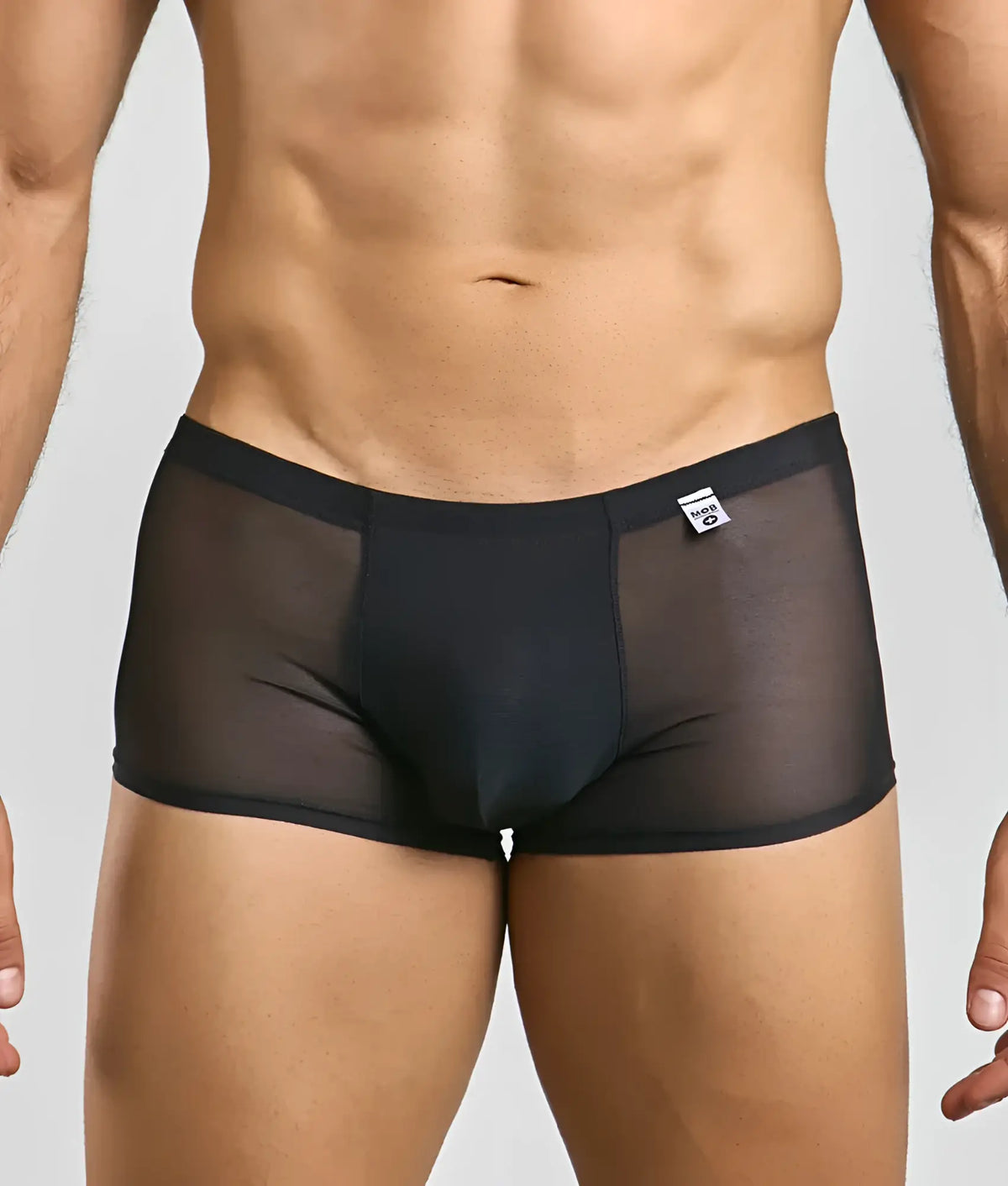 Black sheer mesh briefs with solid black waistband and white brand tag from men’s mesh lace pouch trunk collection