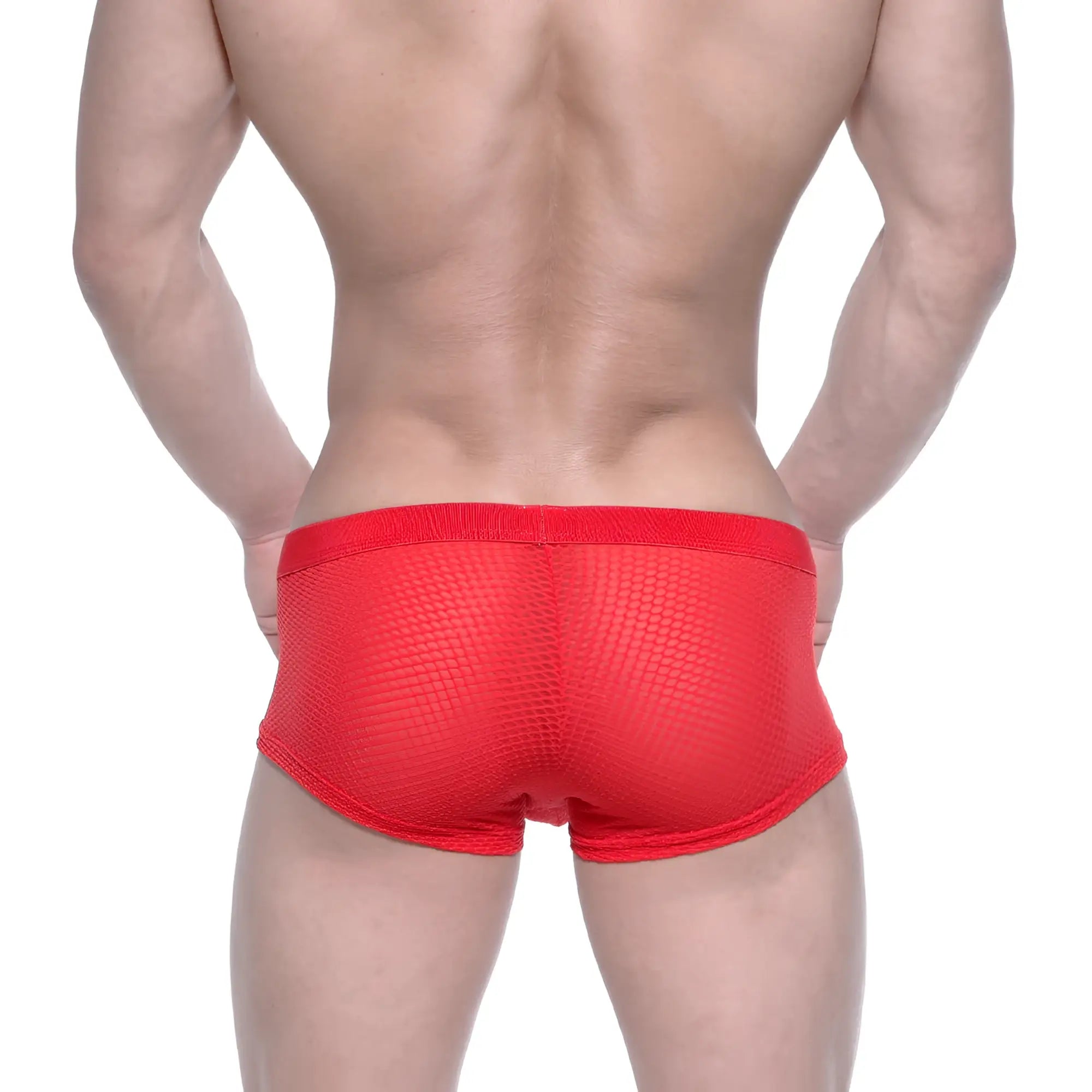 Red mesh briefs metroMaleWear bulge boxer 3013-73 with snug form-fitting design in vibrant red mesh material