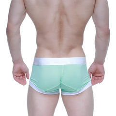 MetroMaleWear crema boxer brief green 3026-07 mint green and white snug fit with elastic waistband athletic briefs