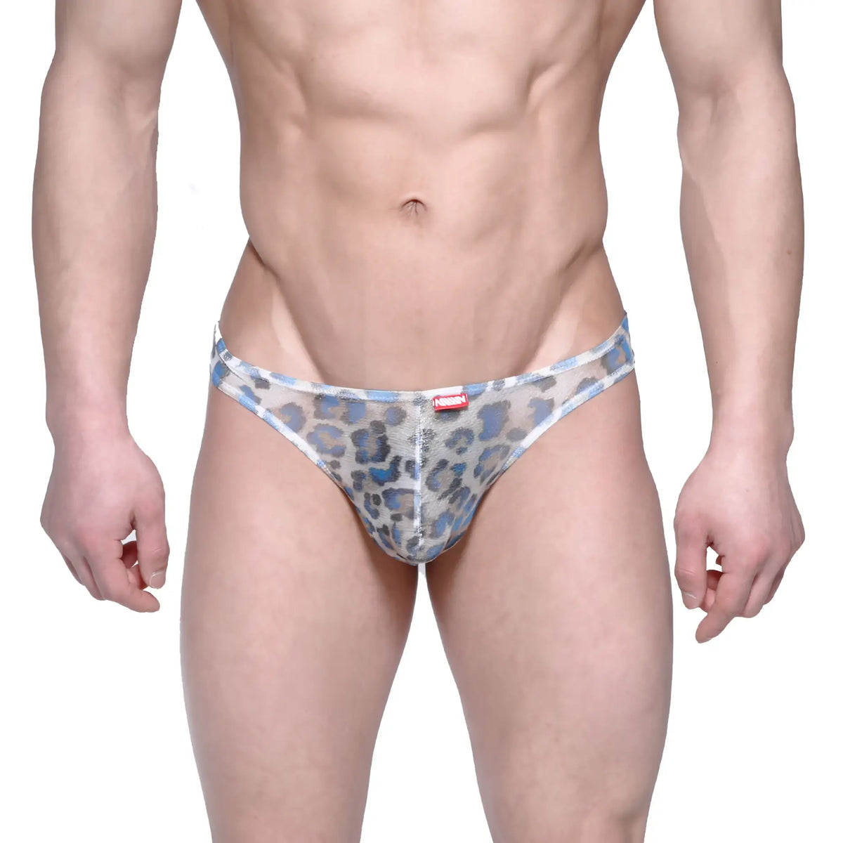 MetroMalewear Eureka thong leopard blue 1322-73 blue and gray leopard-print mesh briefs front view