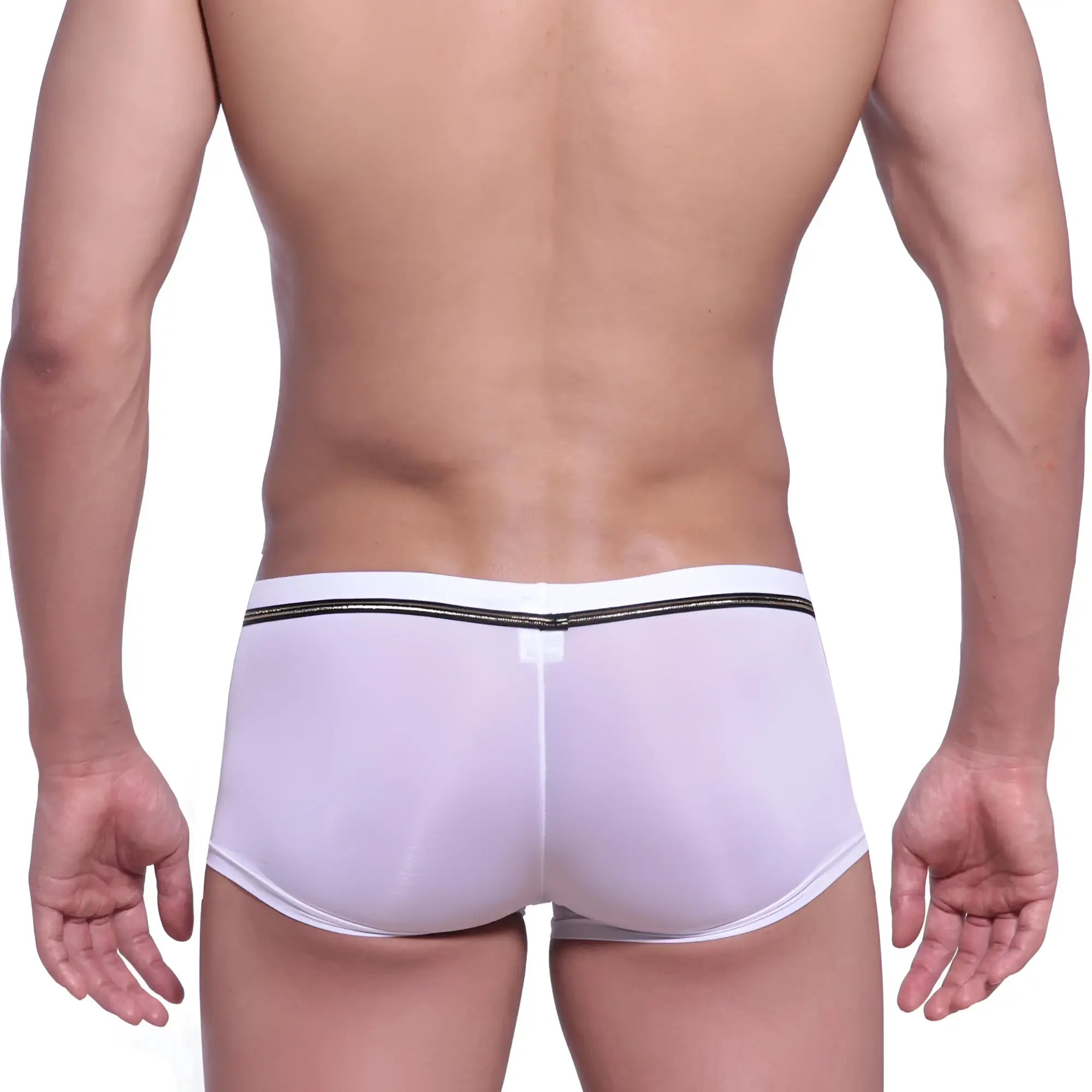 White sheer metroMalewear Faro boxer briefs with black elastic waistband and small logo on back side