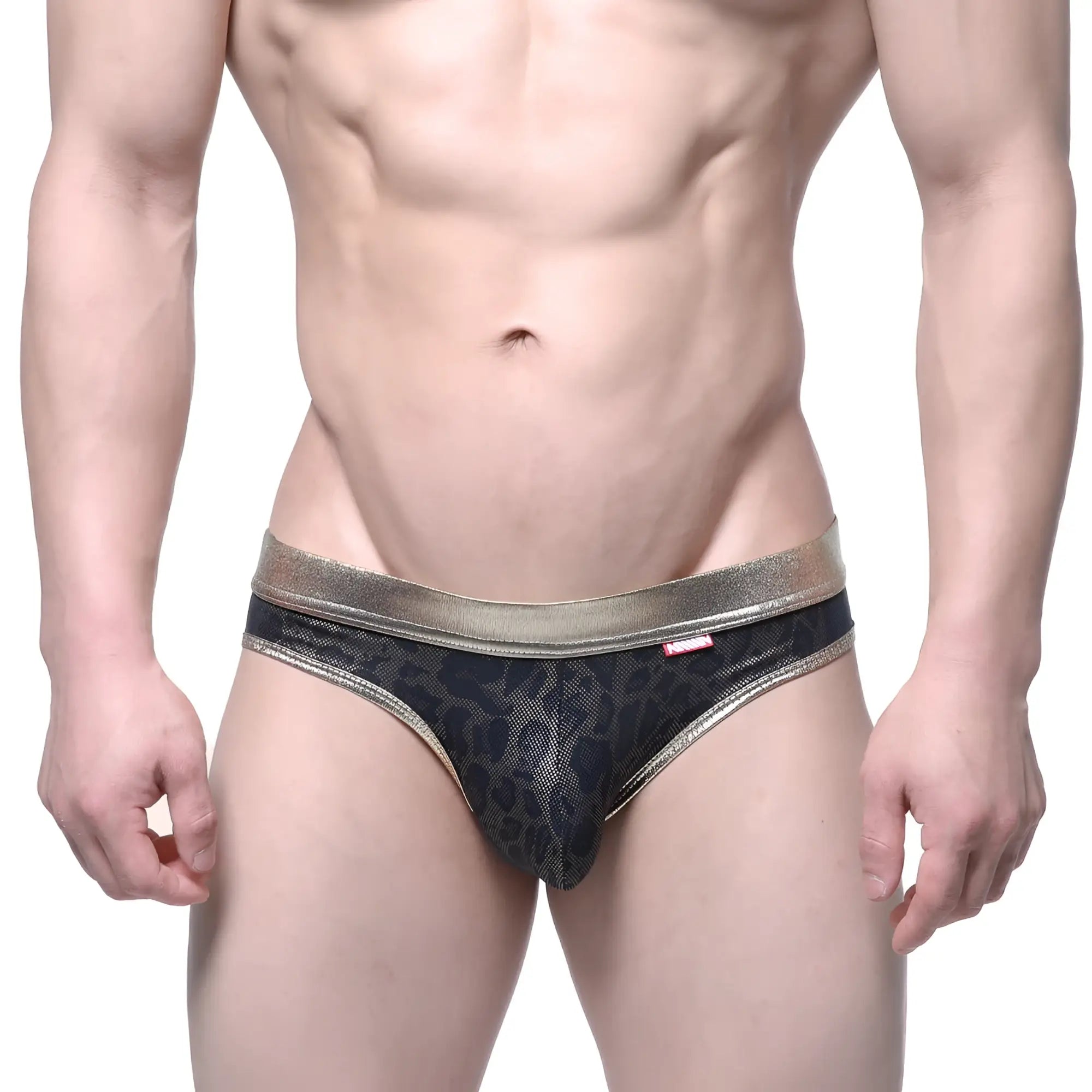 MetroMaleWear gloss bikini gold 2803-50 black leopard-print mesh briefs with metallic gold waistband front view