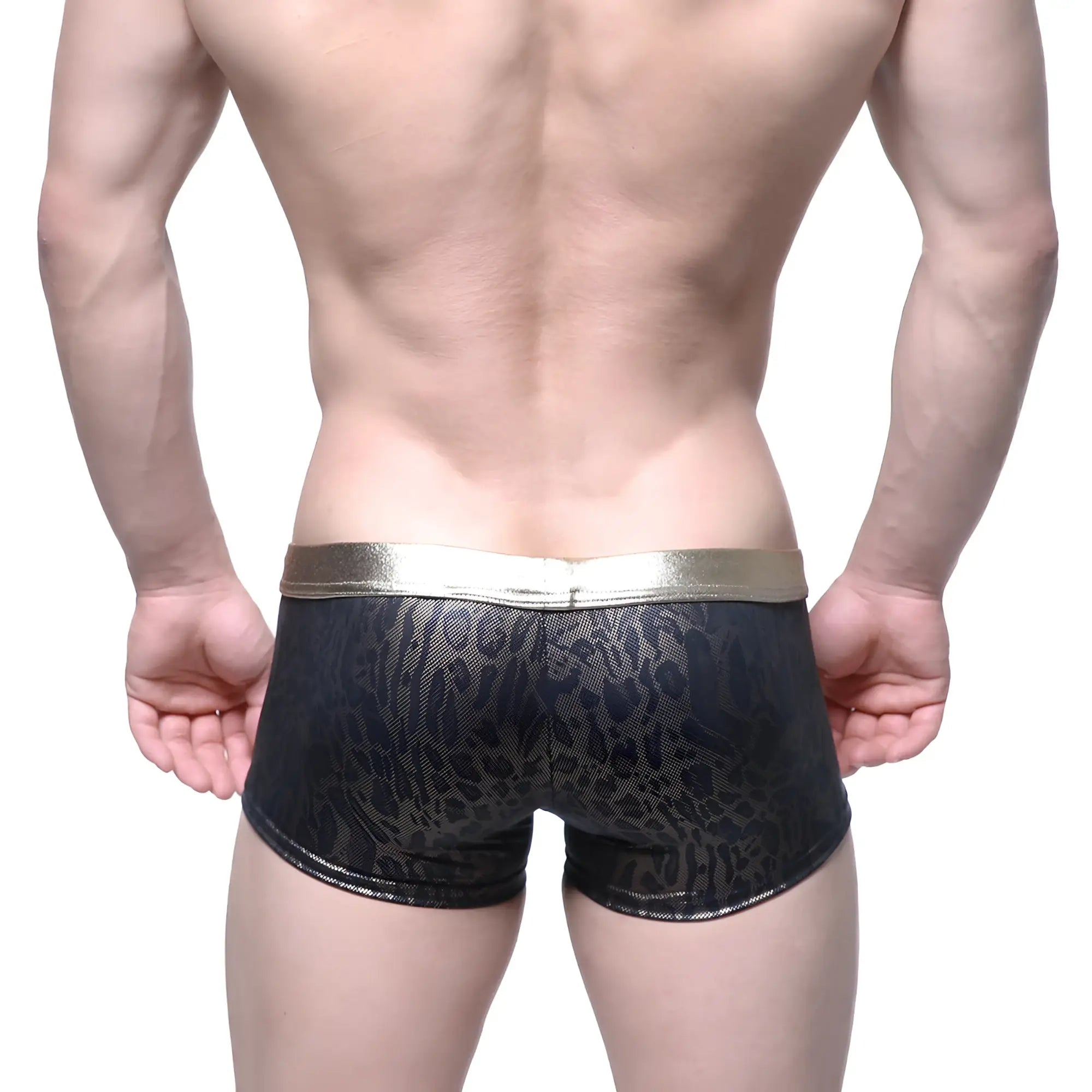 MetroMaleWear gloss trunk gold 2026-78 black leopard print briefs with shiny gold waistband front view